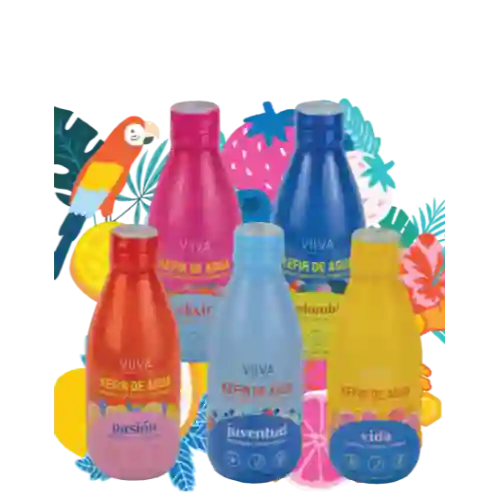 Kefir de Agua 280ml Viiva