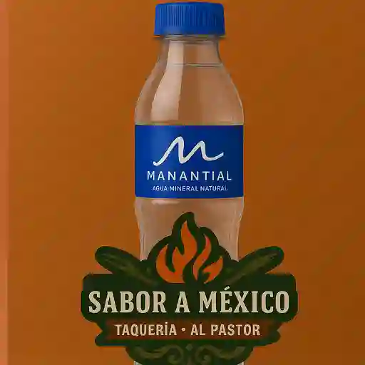 Agua sin gas manantial 600 ml