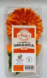 Calendula Organica