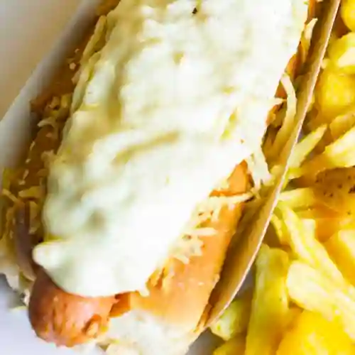 Perro Americano