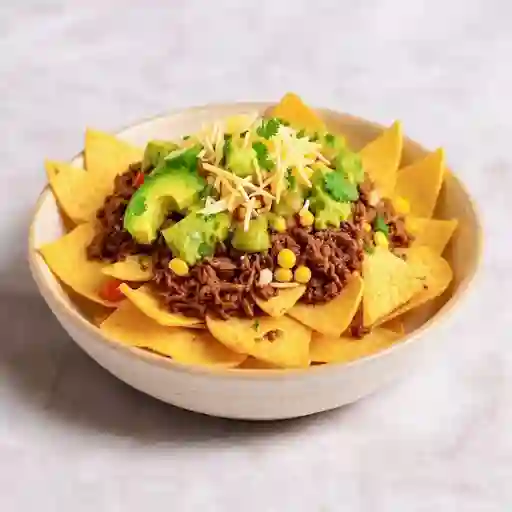 Nachos personal birria