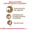 Royal Canin Health Nutrition Dry Ageing +12 2Kg
