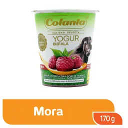 Yogur de Búfala Mora Colanta X 170 g