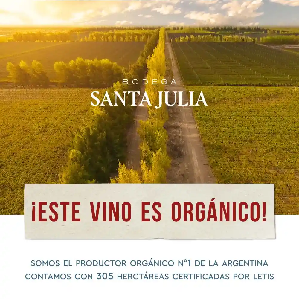 Santa Julia Vino Tinto Tintillo Malbec Bonarda