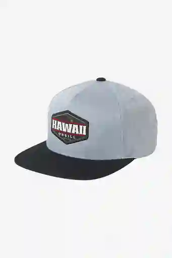 Gorra Aloha Life Oneill