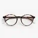 Barner Gafas Reading Marais Carey + 3.00