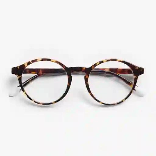 Barner Gafas Reading Marais Carey + 3.00