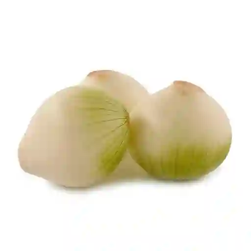Cebolla Cabezona Blanca Olímpica