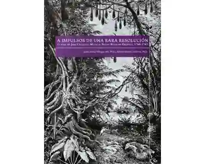 A Impulsos de Una Rara Resolución - Varios autores