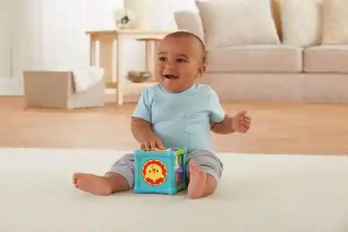 Fisher Price Cubo Animalitos de Actividades