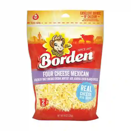 Borden Queso Four Chesse Mexican