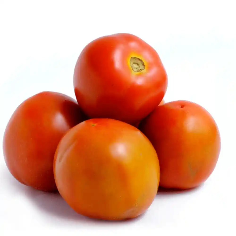 Tomate de Aliño