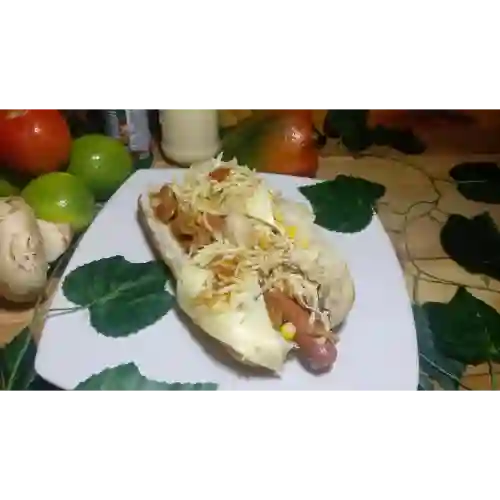 Perro Rota Mundos Mixto de Carnes