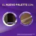 Palette Tinte Permanente Color Creme Rubio Medio Cenizo 7-1