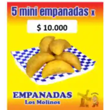 5 Mini Empanadas