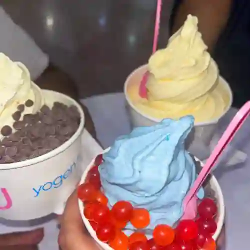 Frozen Yogurt l - 16 Onz