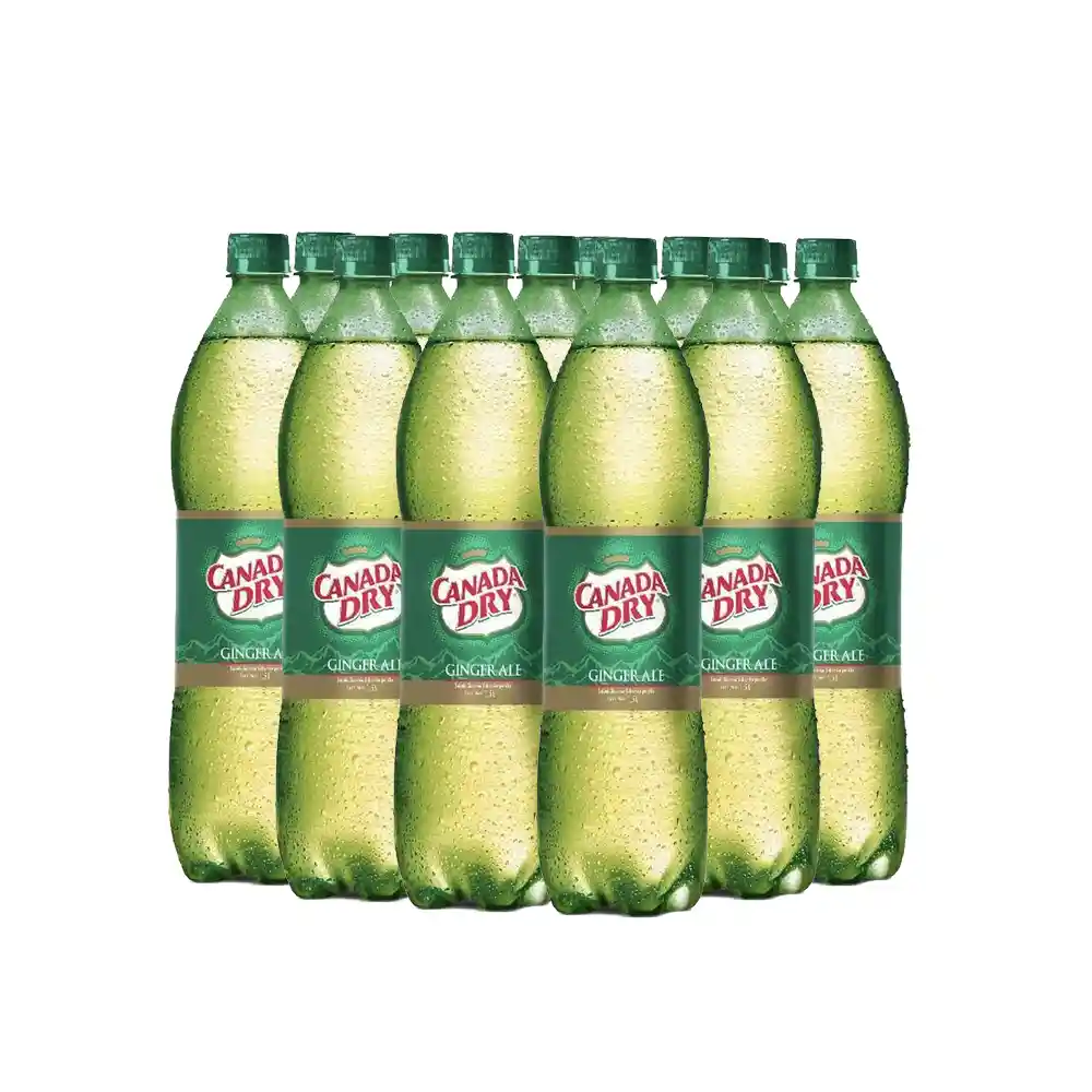 Ginger Canada Dry Pack Gaseosa 12 x 1500 mL