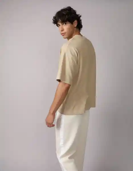 Camiseta Hombre Beige Talla Medium 4669204 American Eagle
