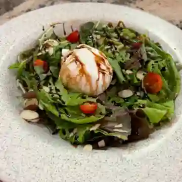 Burrata Pomodoro