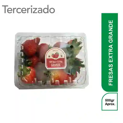 Fresa Premium Extra Grande