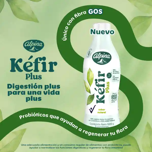 Kéfir Plus Alpina sabor natural 1000g