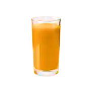 Jugo de Mandarina 12 Oz