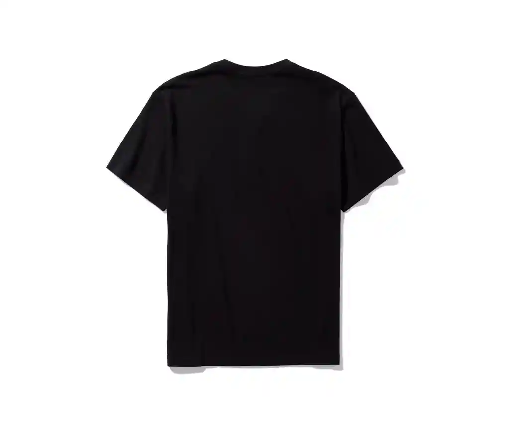 Camiseta Negro Talla Large Hombre American Eagle