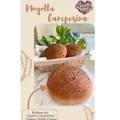 Mogolla Campesina