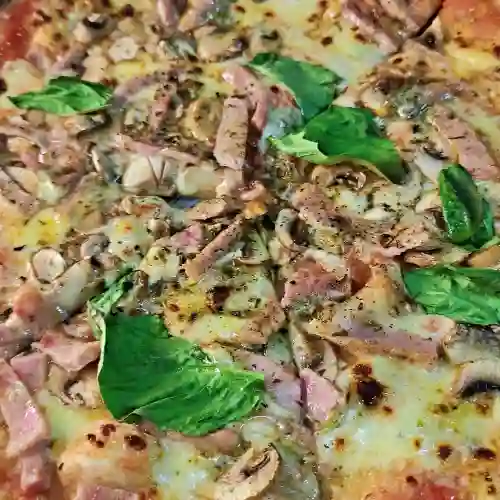 Pizza Appetitosa Master 2019