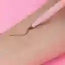Lápiz de Ceja Lovely u Gris Miniso