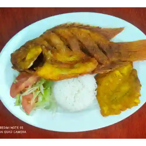 Mojarra Frita