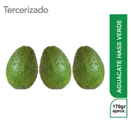 3 x Aguacate Hass Verde Turbo
