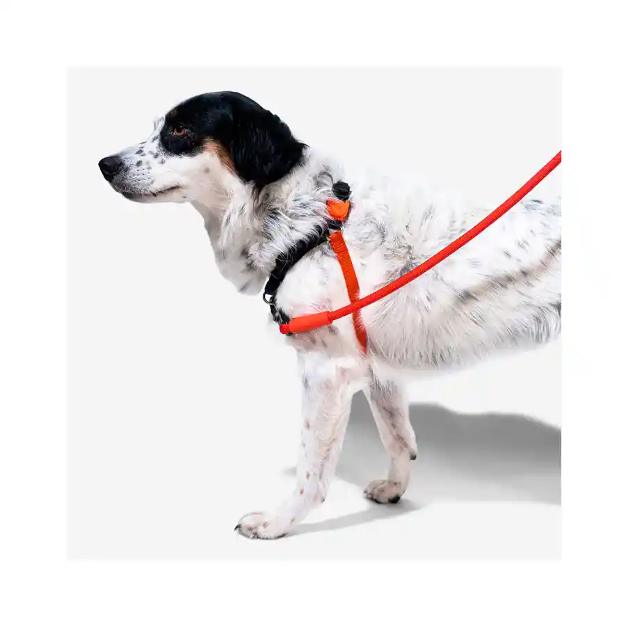 SOFT WALK HARNESS ARNÉS PARA PERROS REF FATBOY TALLA M