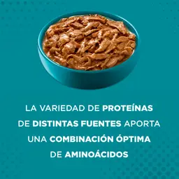 One Alimento para Gato Adulto Castrado con Sabor a Carne
