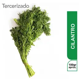 Cilantro