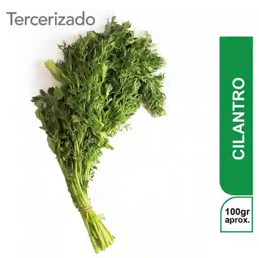 Cilantro