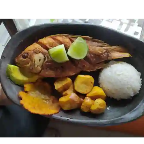 Mega Menu con Mojarra