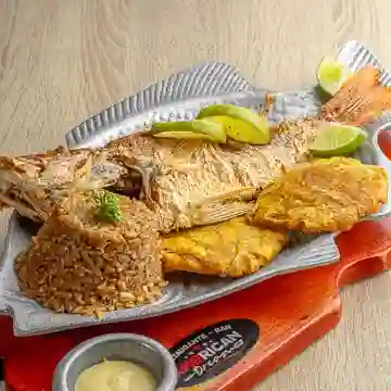 Pargo Rojo