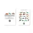 Flash Cards Dinosaurios