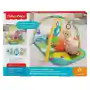 Fisher Price Centro de Actividades Gimnasio Mini Monstruo