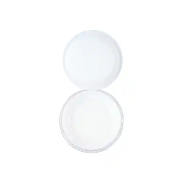 Polvo Sueltos Serie Minimalist Translúcidos 03 Miniso