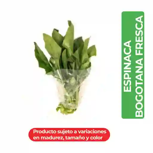 Espinaca Bogotana Fresca