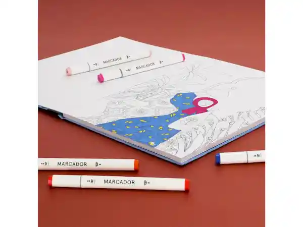 Set Marcadores Doble Punta Casaideas