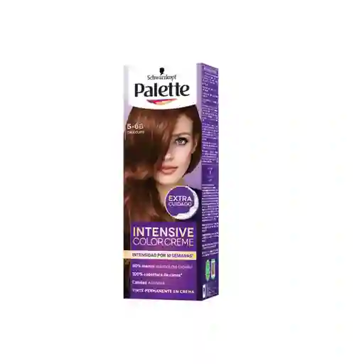 Tinte Palette Color Creme 5-68 Chocolate