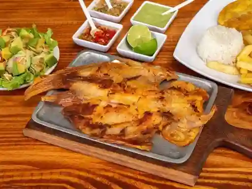 Mojarra a la Plancha