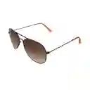 Gafas Unisex Color Bronce X17096 Steve Madden