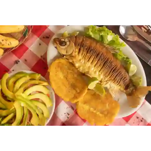 Bocachico Frito