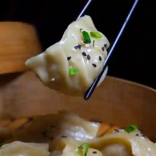 Dumplings X14 Unidades