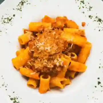 Bolognesa