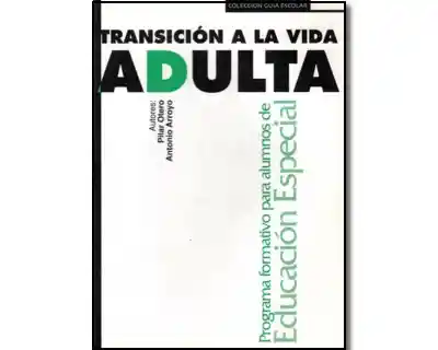 Vida Transición A La Adulta - Pilar Otero